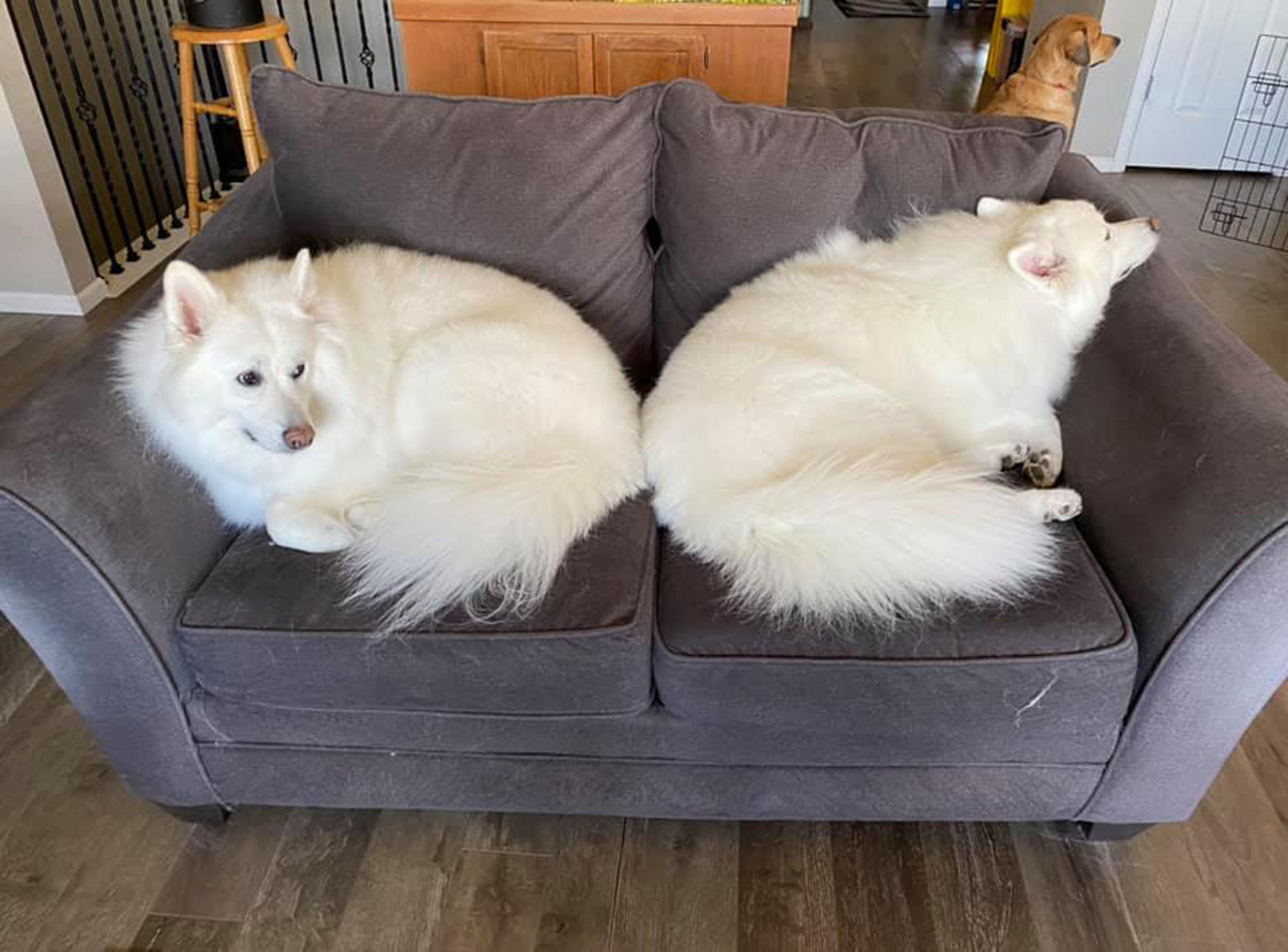 max and polar